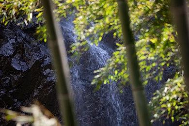 PC Gamer编辑团队晒出自己的PC和打机环境