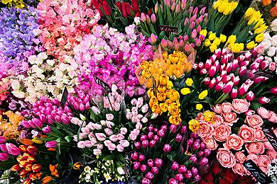 数据分析游戏抢测开启时机 测试半年左右最理想